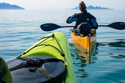 Fantastic Kayak